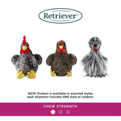 Image showing  Chicken Plush Dog Toy, Assorted Styles