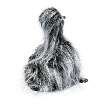 Image showing  Chicken Plush Dog Toy, Assorted Styles