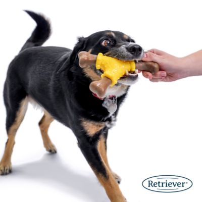 Image showing  Squeaky Wishbone Dog Chew Toy, Assorted Colors