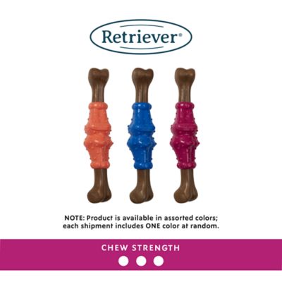 Image showing  Squeaky Femur Dog Chew Toy, Assorted Colors