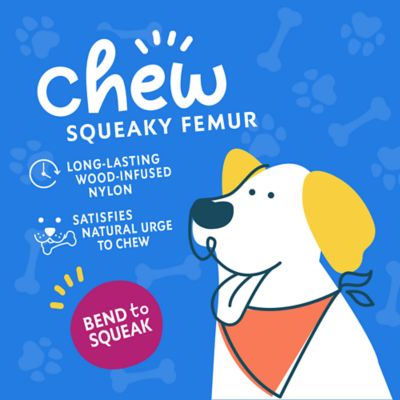 Image showing  Squeaky Femur Dog Chew Toy, Assorted Colors