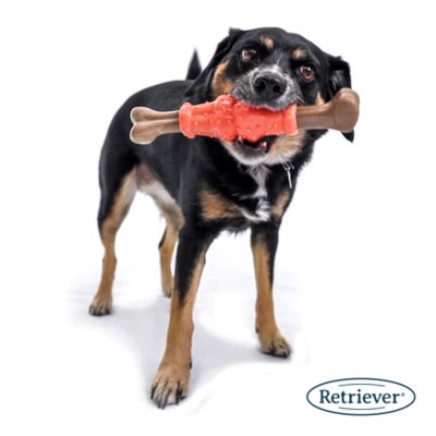 Image showing  Squeaky Femur Dog Chew Toy, Assorted Colors