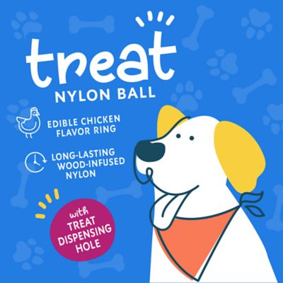 Image showing  Nylon Hamburger Dog Treat Toy