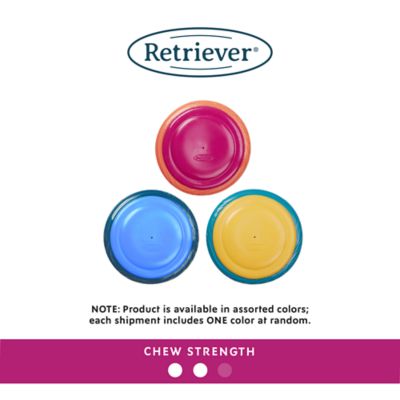 Image showing  Squeaky Flyer Dog Fetch Toy, Assorted Colors