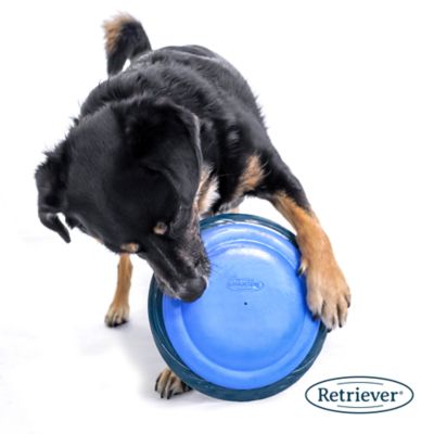 Image showing  Squeaky Flyer Dog Fetch Toy, Assorted Colors