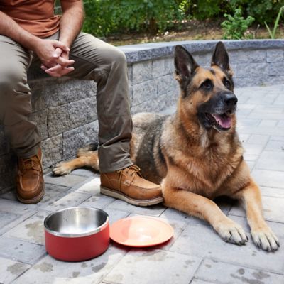 Image showing 7 th Retriever Squeaky Flyer Dog Fetch Toy, Assorted Colors