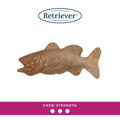 Image showing  Nylon Fish Dog Chew Toy