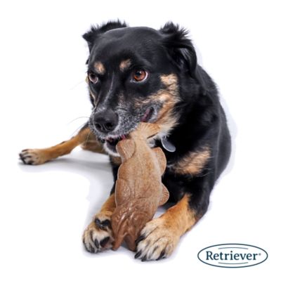 Image showing  Nylon Fish Dog Chew Toy