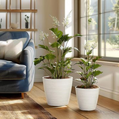 Image showing  2 pc. Tapered Round Plastic Planters Set