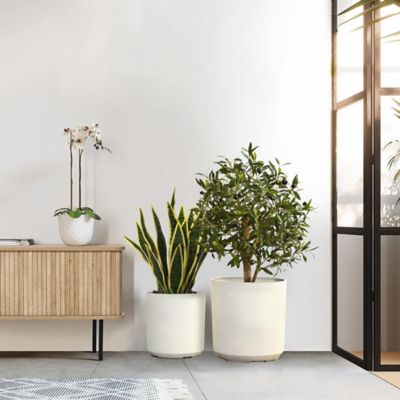 Image showing  2 pc. Round Plastic Planters Set