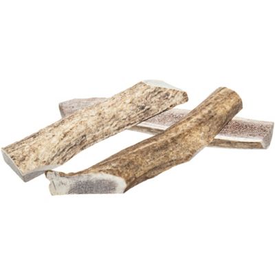 Image showing  XL/Jumbo Half Elk Antler All Natural Dog Chew