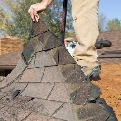 Image showing  37 in. Fiberglass Handle Serrated Steel Shingle Remover Roof Shovel with Fiberglass Handle and D-Grip