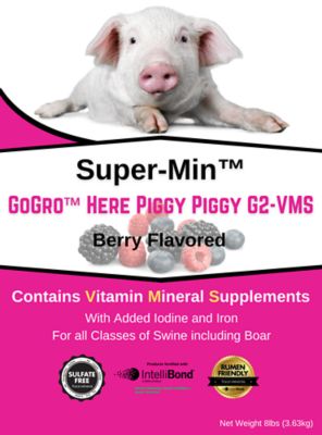 Image showing  GoGro Here Piggy Piggy Mineral G2-VMS, 8 lb. Pouch