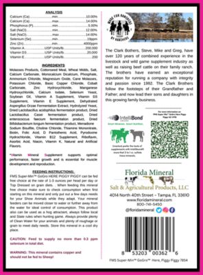 Image showing  GoGro Here Piggy Piggy Mineral G2-VMS, 8 lb. Pouch