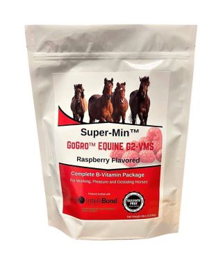 Super-Min GoGro Equine Mineral G2-VMS, 8 lb. Pouch