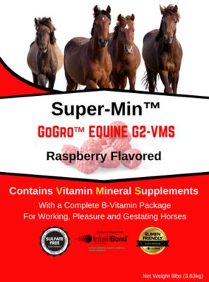 Image showing  GoGro Equine Mineral G2-VMS, 8 lb. Pouch