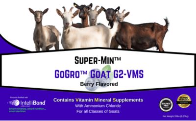 Image showing  GoGro Goat Mineral G2-VMS, 20 lb. Economy Pail