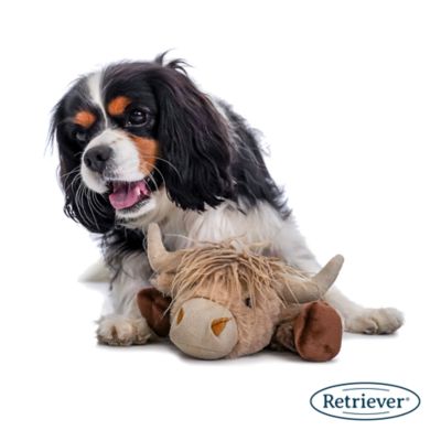 Image showing  Floppy Critter Plush Dog Toy, Assorted Styles