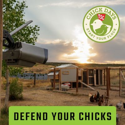 Image showing 8 th Defend by Tactacam Defend Cellular Security Camera