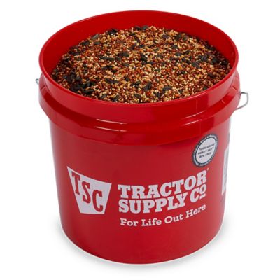 Image showing  2 gal. Red Bucket