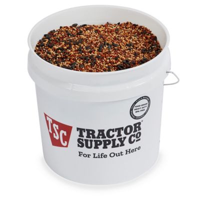 Image showing  2 gal. White Bucket