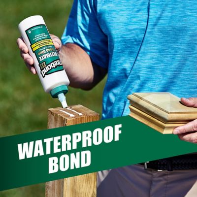 Image showing 7 th Titebond III Ultimate Wood Glue - 32 Oz. (6 Pack)