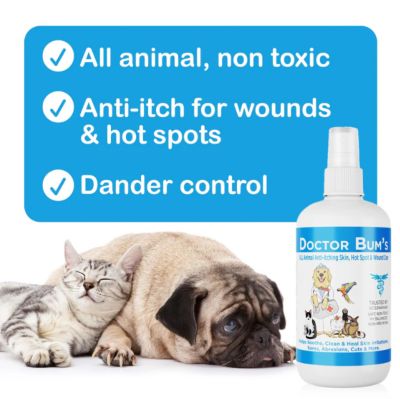 Image showing  All Animal Anti-Itching Skin, Hot Spot & Wound Care Spray