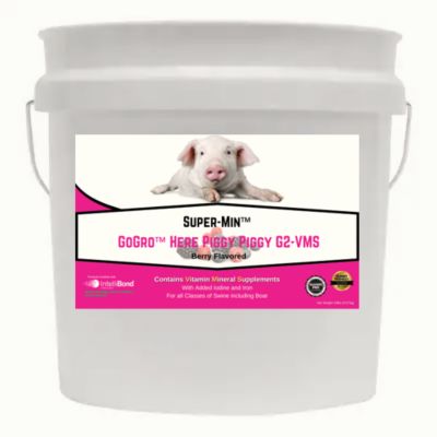 Super-Min GoGro Here Piggy Piggy Mineral G2-VMS, 20 lb. Economy Pail