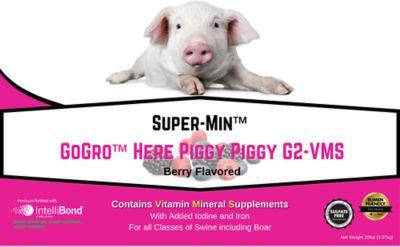 Image showing  GoGro Here Piggy Piggy Mineral, 20 lb. Economy Pail