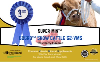 Image showing  GoGro Show Cow Mineral G2-VMS, 20 lb. Economy Pail