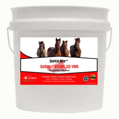 Super-Min GoGro Equine Mineral G2-VMS, 20 lb. Economy Pail