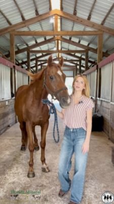 Image showing  GoGro Fly Away Garlic Mineral, 20 lb. Economy Pail