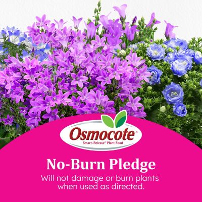 Image showing 7 th Osmocote Plus Outdoor & Indoor Smart Release Plant Food, 2 lb.