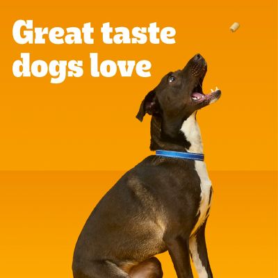 Image showing  Marrobone Beef Flavor Adult Crunchy Dog Biscuit Treats, 24 oz.