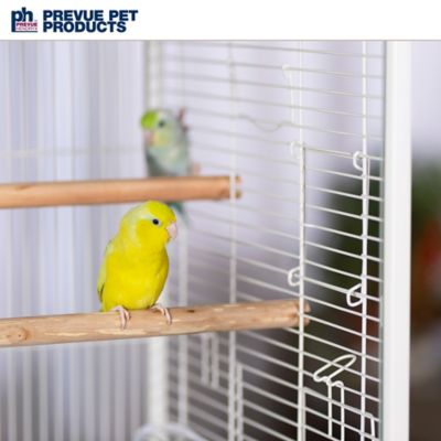 Image showing 7 th Prevue Pet Products Crystal Palace Luxe Glass Birdcage with Double Doors