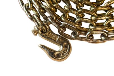 Image showing  5/16 in. x 20 ft. BulletProof Medium Duty Transport Chain