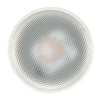 Image showing  75 Watt Equivalent 900-Lumen LED Floodlight Bulbs, 2-Pack