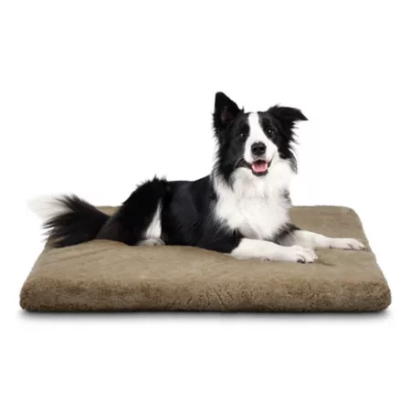 MuttNation powered by the Miranda Lambert Orthopedic Gusset Bed Orthopedic Dog Beds