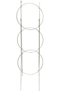 Image showing  42 In. Heavy Duty Collapsible Tomato Cage