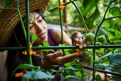 Image showing  Plant Support Kit 5 ft. Tangerine