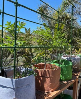 Image showing 7 th C-BITE Plant Support Kit 5 ft. Tangerine