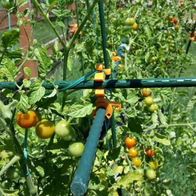 Image showing  5' DIY Plant Support Kit featuring C-BITEs