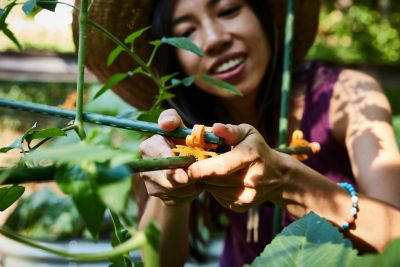 Image showing  5' DIY Plant Support Kit featuring C-BITEs