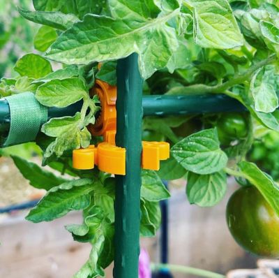 Image showing 6 th C-BITE 5' DIY Plant Support Kit featuring C-BITEs