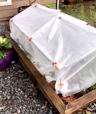 Image showing 8 th C-BITE 5' DIY Plant Support Kit featuring C-BITEs