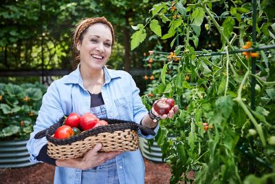 Image showing 7 th C-BITE 6 ft. Monster Garden Plant Support Kit