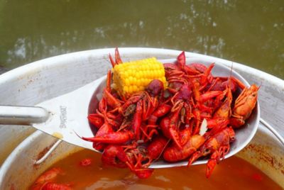 Image showing  Stainless Steel Bayou Spoon