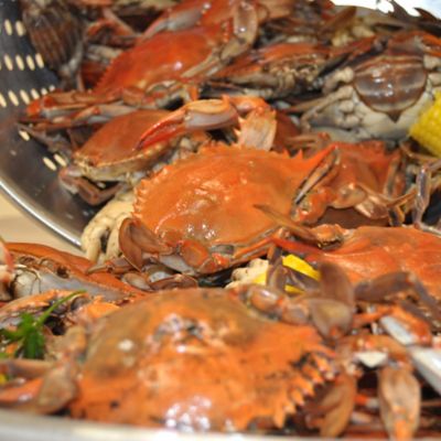 Image showing  40 qt. Stainless Stockpot with Spigot & Basket
