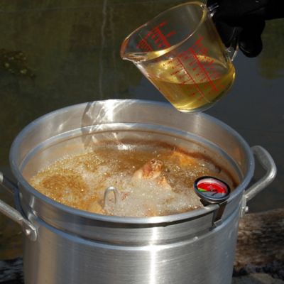 Image showing  30 qt. Aluminum Turkey Fryer