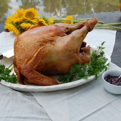 Image showing  30 qt. Aluminum Turkey Fryer